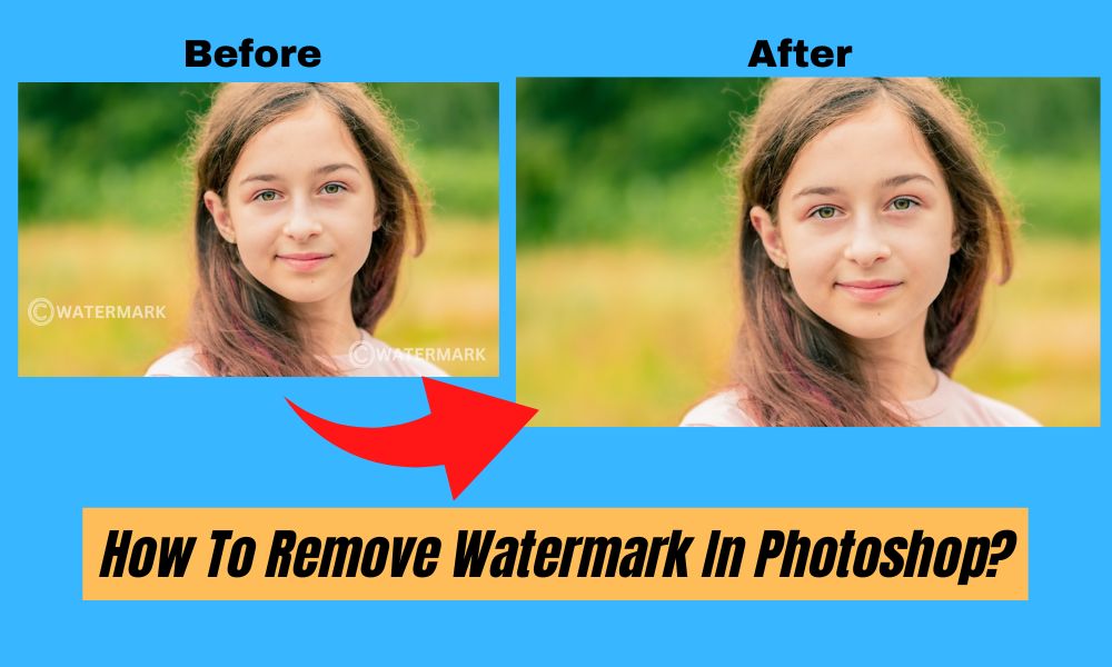 How To Remove Watermark In [Know Top 3 Tools]